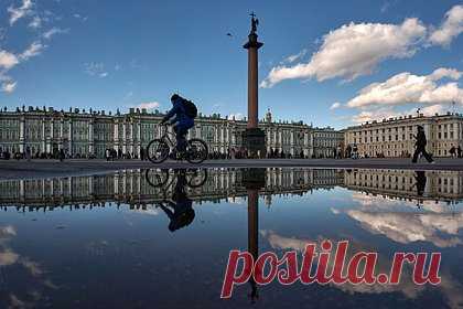 В Петербурге у Эрмитажа мужчина на электровелосипеде сбил третьеклассника с отцом