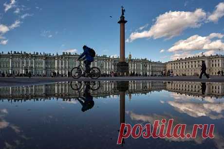 В Петербурге у Эрмитажа мужчина на электровелосипеде сбил третьеклассника с отцом