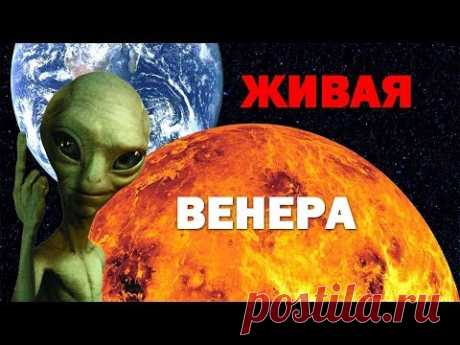ЖИВАЯ ВЕНЕРА - YouTube