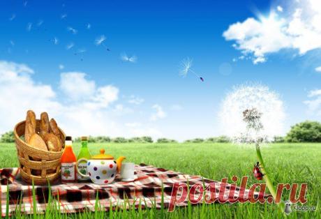 10 растений, которые лучше обходить стороной