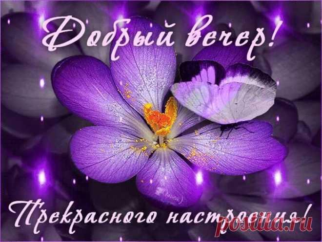 Вечерний цветок !