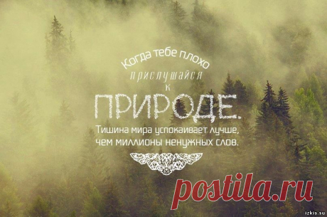 Афоризм о красоте природе - Афоризмы о природе. Высказывания и цитаты о природе