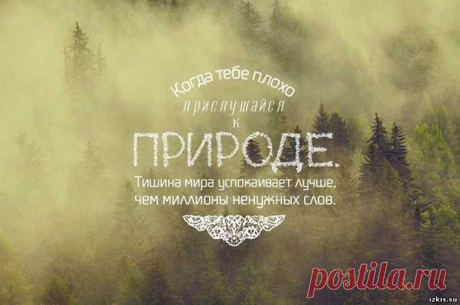 Афоризм о красоте природе - Афоризмы о природе. Высказывания и цитаты о природе