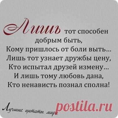 (49) Одноклассники