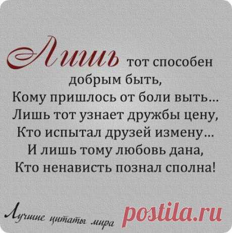 (49) Одноклассники