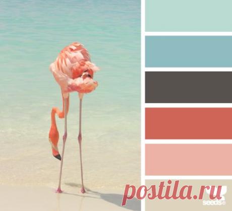 Design Seeds® | for all who ❤ color