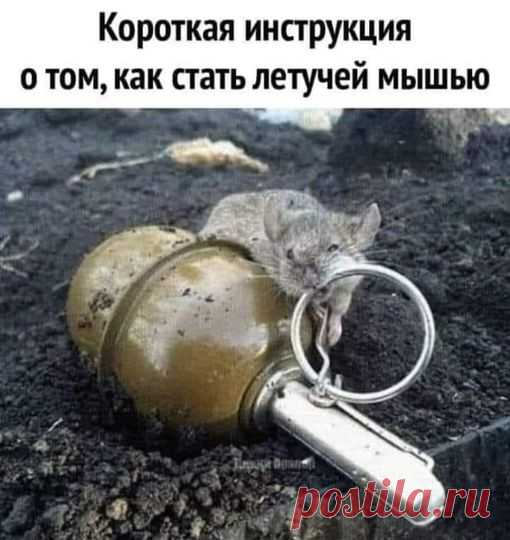 (20+) Facebook