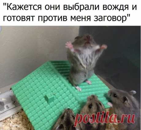 Ты не поверишь!