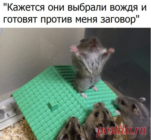 Ты не поверишь!