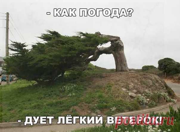 Позитив ツ