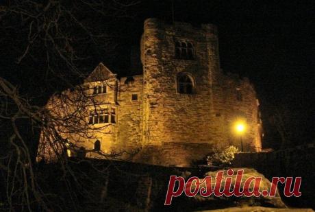 fullsize.jpg (800×537)