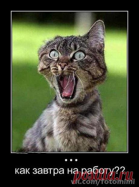 Интересные новости