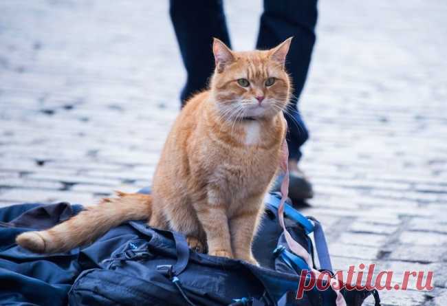 16 фильмов, которые вернут веру в добро | Болтай