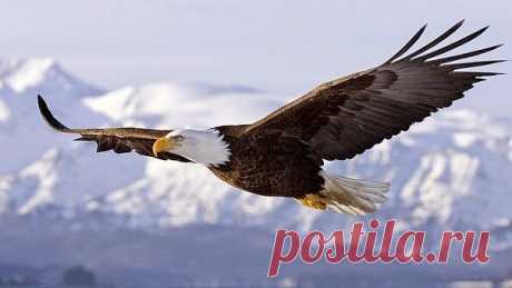 Очень часто для того,чтобы жить,мы должны измениться, иногда этот процесс сопровождают боль, страх, сомнения…