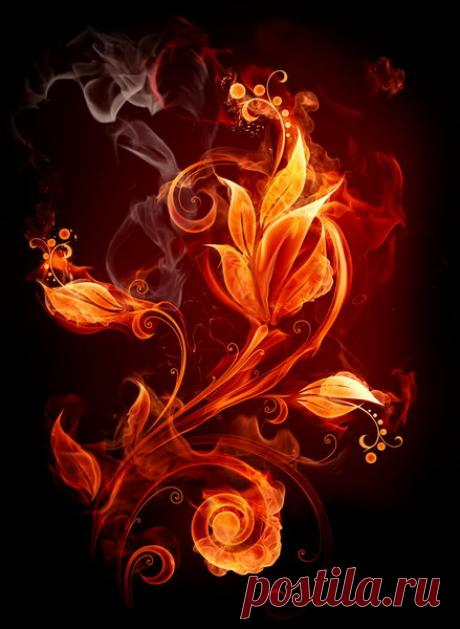 АНГЕЛЫ СВЕТА. ИЗМЕНЕНИЕ РЕАЛЬНОСТИ ИЛИ ПРЕДВИДЕНИЕ.