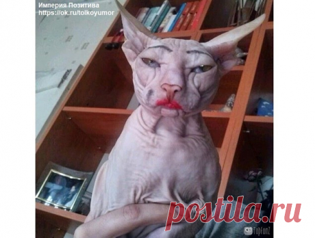 Одноклассники