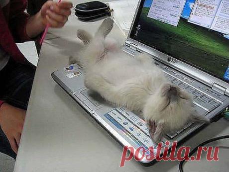 Для Души. Добавлена фотография в альбом Позитив)))