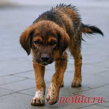 Чистое сердце - OGADANIE.RU