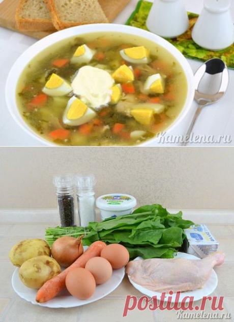 Зеленый борщ со щавелем