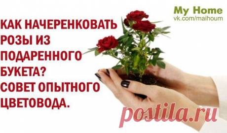 Стена