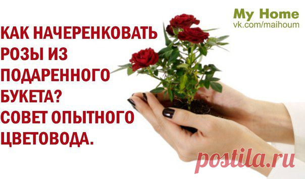 Стена