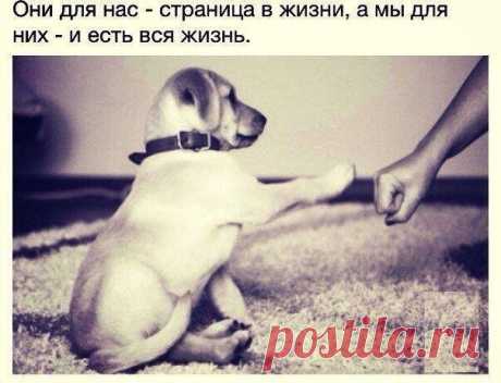 Злые мысли человечества