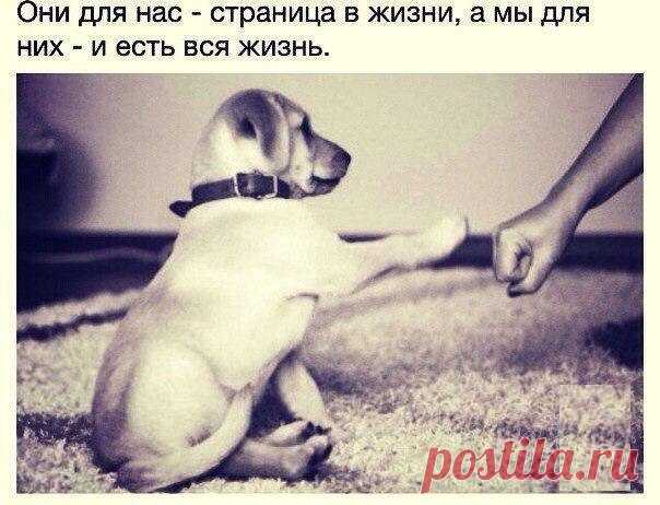 Злые мысли человечества