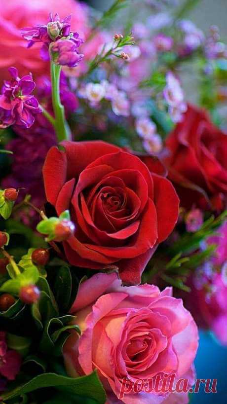 (41) Pinterest