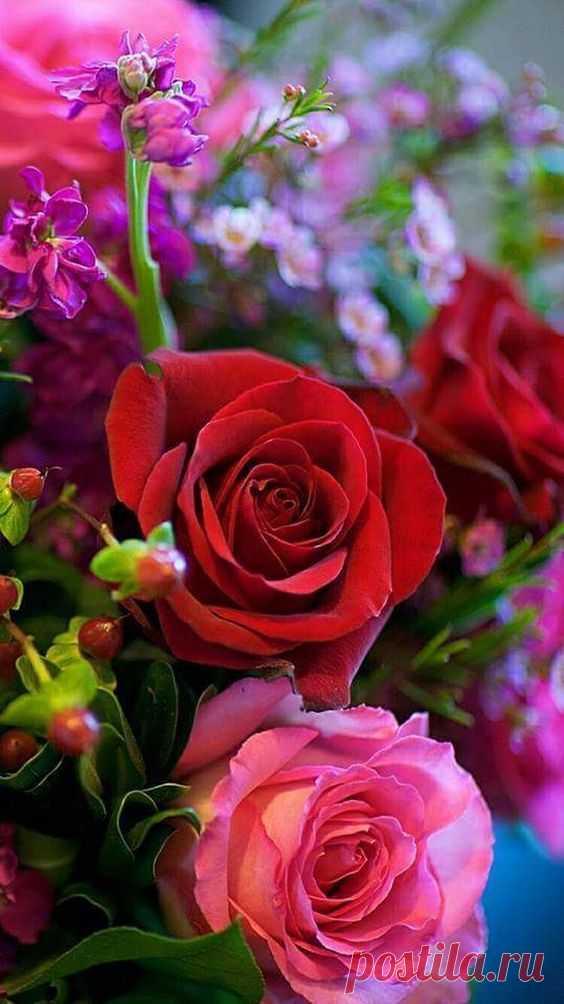 (41) Pinterest