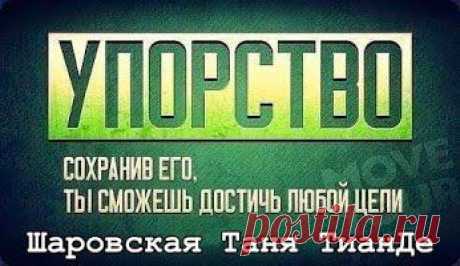 zaporizhzhia.tanya Sharovskaya – Google+