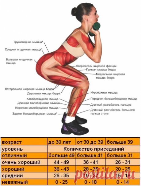 Причины чаще приседать