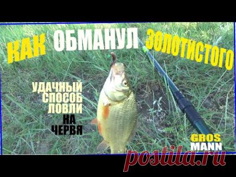РЫБАЛКА НА ПРУДУ! #рыбалка2021#карась#гольян - YouTube