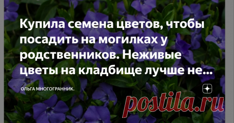 Купила семена цветов, чтобы посадить на могилках у родственников. Неживые цветы на кладбище лучше не носить, говорит батюшка Заранее купила семена цветов, которые буду сажать на могилках у своих родственников.
У меня уже растут пионы в углу могилки, большой куст, цветет очень красиво, радует глаз, но есть очень большой минус, он цветет недели две и все.
А мне бы хотелось, чтобы цветочки цвели все лето.
Поэтому решила посадить еще несколько видов цветов.