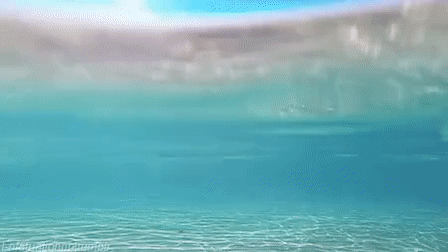 Всем капельку моря