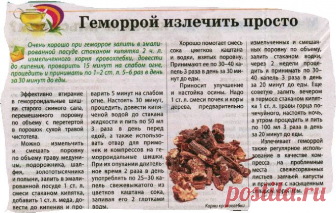 Народные рецепты для лечения геморроя