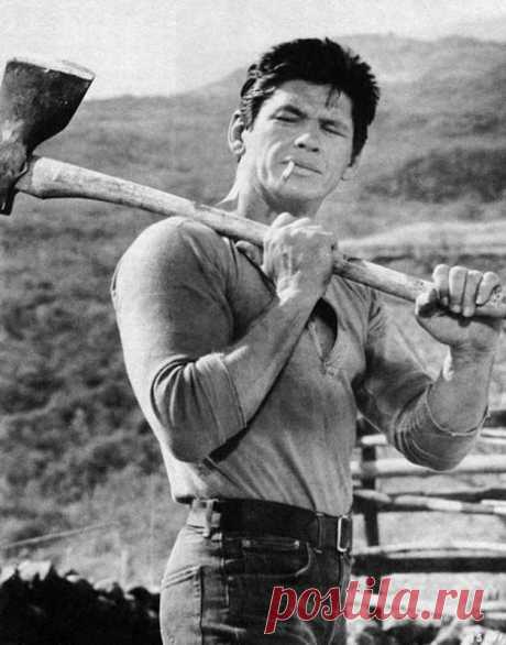 Чарльз Бронсон (Charles Bronson)
- 3 ноября, 1921 • 30 августа 2003