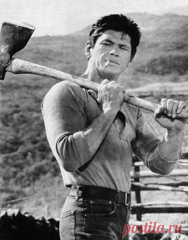 Чарльз Бронсон (Charles Bronson)
- 3 ноября, 1921 • 30 августа 2003
