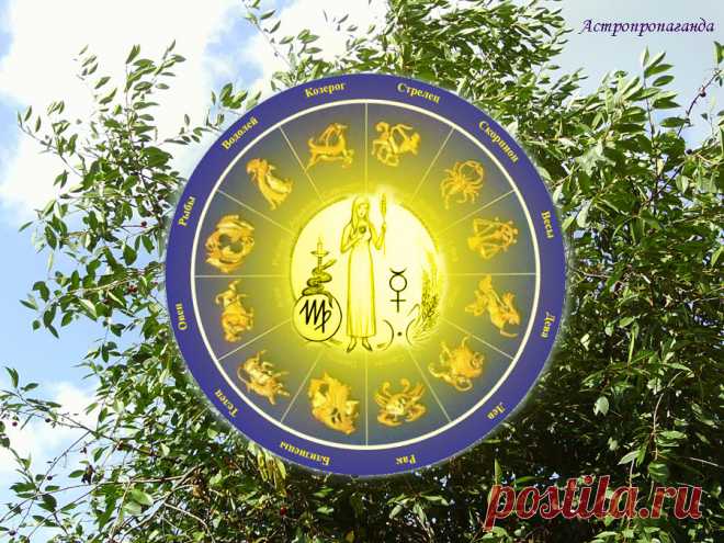 Гороскоп для Девы с 3 по 31 июля 2023 

♍ ✨ Автор: астролог Нина Стрелкова. 
✧ В ваш знак с 10 июля 2023 переходит Марс, и почти сразу же он становится в оппозицию к Сатурну, находящемуся в знаке Рыб. Аспект травмоопасный, указывающий также на борьбу с ограничениями или необходимость сдерживаться, чтобы избежать конфликтов и неприятностей. Меркурий, управитель вашего знака с 11 июля 2023 войдет в знак Льва, где проявится как тайная информация или тайная враждебность...