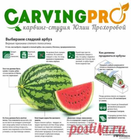 Как правильно выбрать арбуз | CarvingPRO. Карвинг-студия Юлии Прохоровой