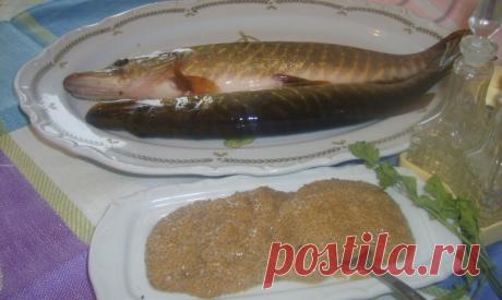 щука в автоклаве | Автоклавы