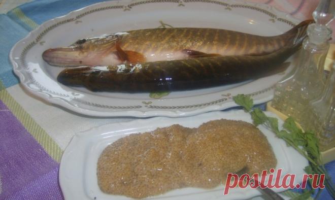 щука в автоклаве | Автоклавы