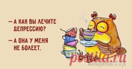 Юмористическая подборка, способная развеселить в любой ситуации