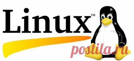 Курс Skillbox Администрирование ОС Linux: отзывы + обзор онлайн-обучения на администратора Linux