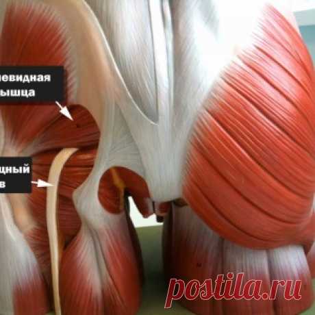 5 ЗА почему стоит заменить кофе на тонизирующий напиток из куркумы - МирТесен