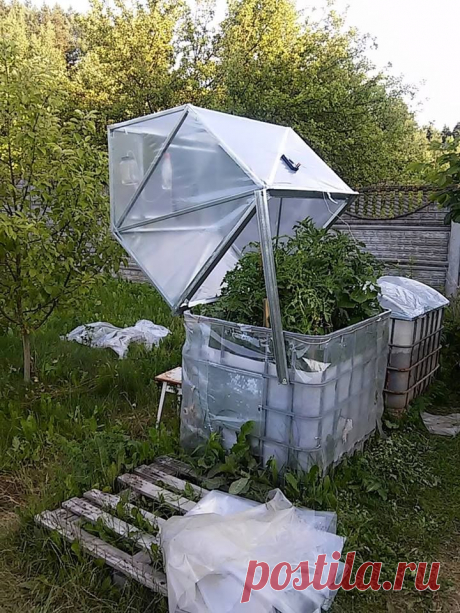 Ленивая теплица из еврокуба с автоматическим проветриванием