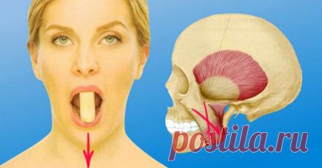 Корректируем овал лица: динамическая и статическая растяжка жевательных мышц