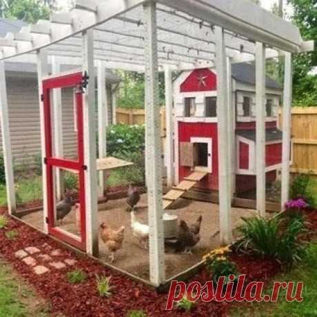 Красивые и экзотичные, практичные и оригинальные, надеемся, что курятники на этих фото вызовут у вас восхищение, восторг и желание самим завести кур. 

Вне зависимости от того, дачник вы или сельский житель, трудно сопротивляться привлекательности идеи завести своих кур. И хотя, хлопот с ними немало, по общему мнению, преимущества перевешивают недостатки.
Показать полностью…