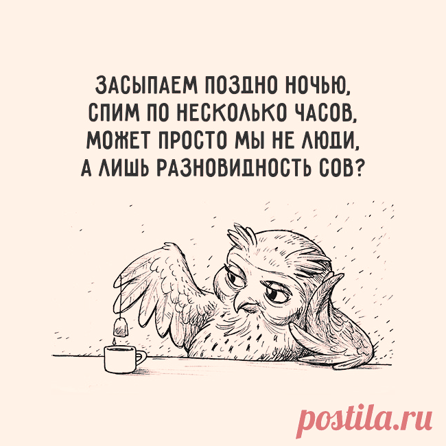 (72) Фитнес для мозга - Хроника