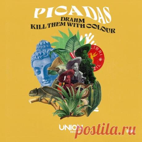 Download Kill Them With Colour, Drahm – Picadas [UR543] - Musicvibez Label UNION RECORDS (IT) Styles Afro House Date 2024-08-02 Catalog # UR543 Length 12:44 Tracks 2