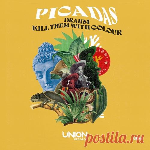 Download Kill Them With Colour, Drahm – Picadas [UR543] - Musicvibez Label UNION RECORDS (IT) Styles Afro House Date 2024-08-02 Catalog # UR543 Length 12:44 Tracks 2